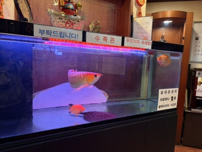 부산역 중국집 맛집_홍성방(내돈내산)