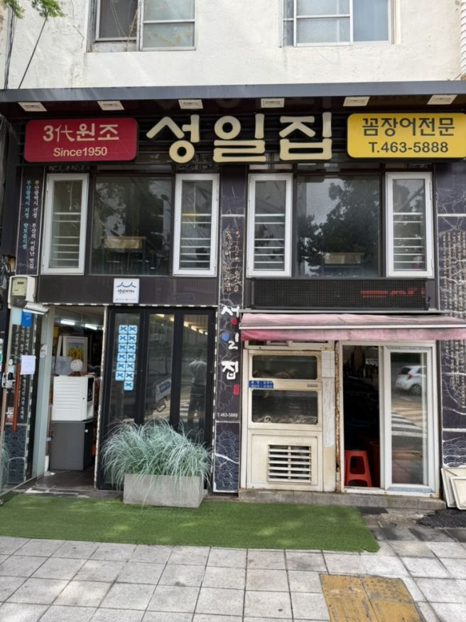 [부산] 부산 꼼장어 맛집 부산 남포동 성일집