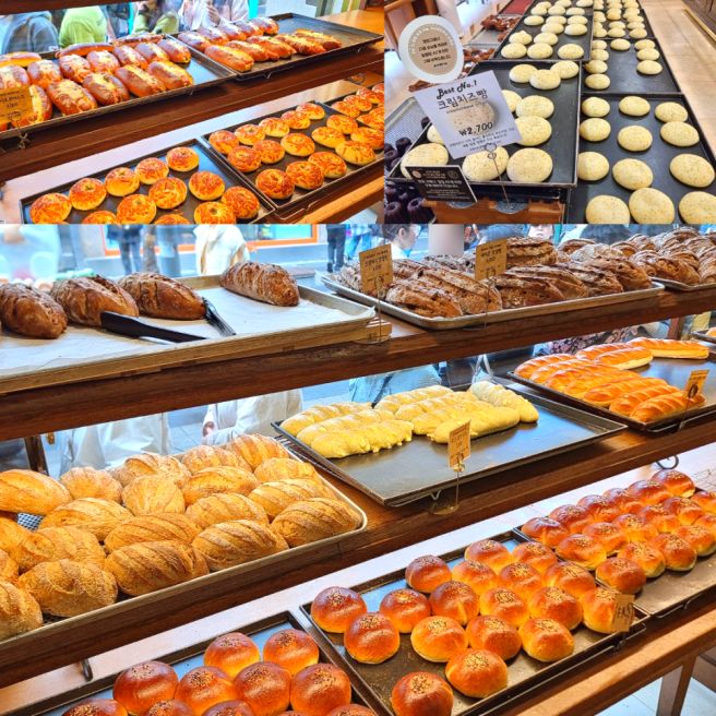 안동 맘모스베이커리 웨이팅 실화! 크림치즈빵 인기 폭발 빵지순례