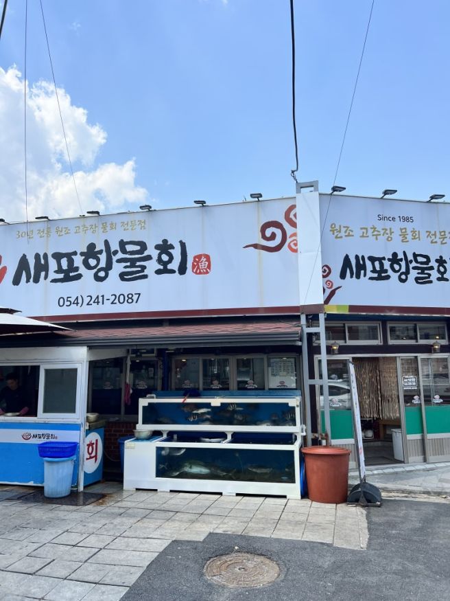 포항 물회 맛집 추천, 현지인도 찾는 새포항물회 솔직후기 +내돈내산