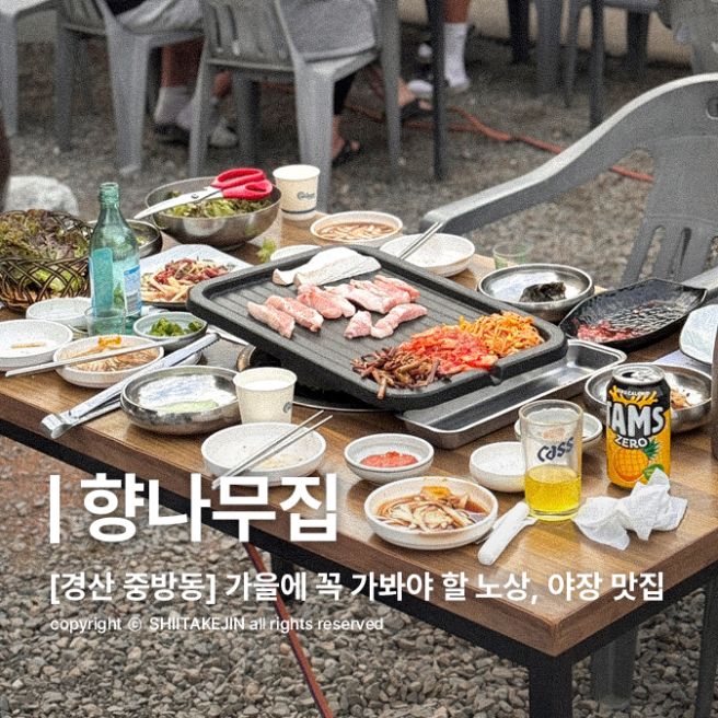 [경산 중방동 맛집] 반려동물 동반 가능! 분위기 끝장나는 경산 노상, 야장 삼겹살 맛집, 향나무집