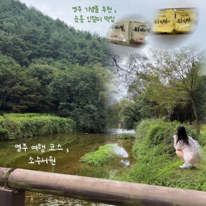 영주 여행 코스｜소수서원 산책 후 , 여행 기념품으로 좋은 순흥 기지떡까지 🩶