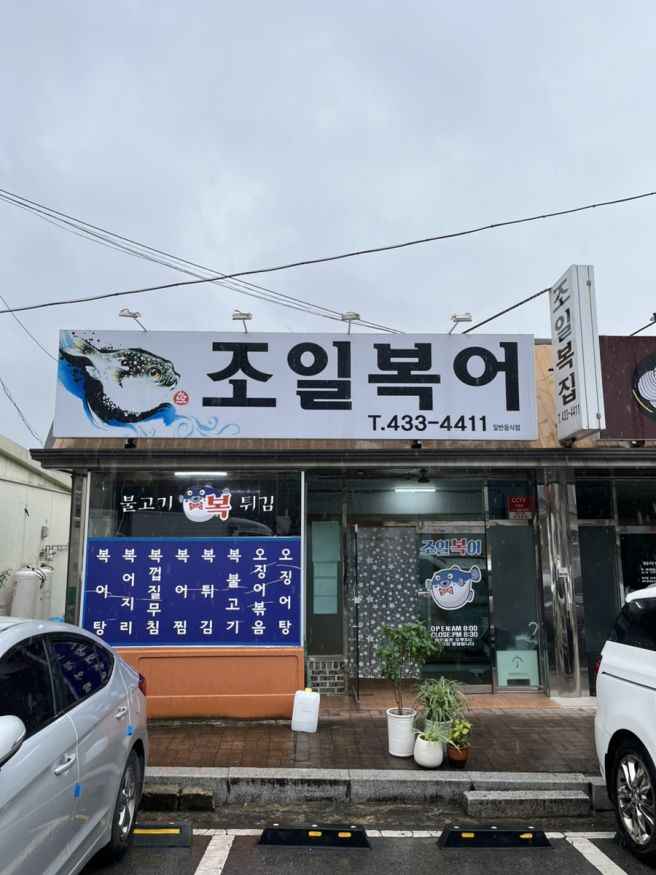 김천 신음동 맛집 “조일복집 김천시청2호점” 비 오는 날 아침으로 뜨끈하고 시원한 은복 지리탕...