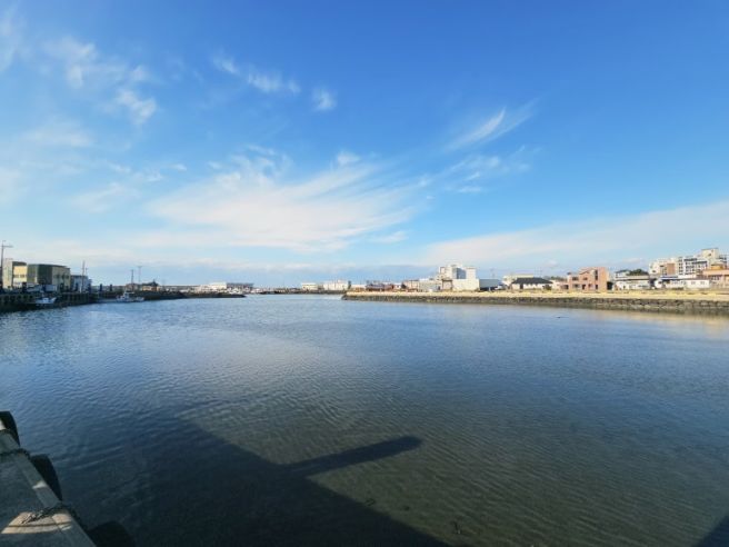 (제주도 서귀포 맛집) 제주도 갈치조림의 성지 11년째 블루리본 덕승식당 후기