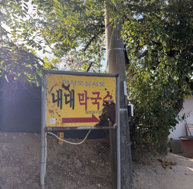<철원> 내대리 맛집 내대막국수 솔직후기🥢 블루리본 메밀막국수 직접 먹어본 후기｜주차·웨이팅·메뉴까지