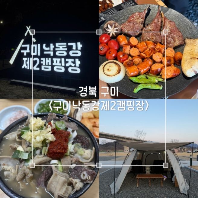경북 구미 캠핑장 추천 | 낙동강 제2캠핑장 37번 사이트 솔직후기