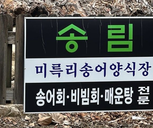 충주여행🚗