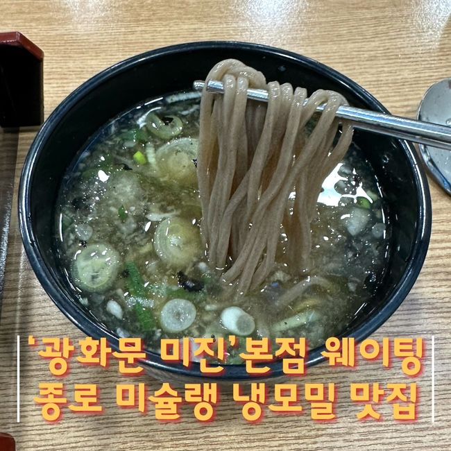 [서울] 광화문 미진 본점 웨이팅 60번 후기 | 종로 미슐랭 냉모밀 맛집 인정 - '광화문 미진 본점'