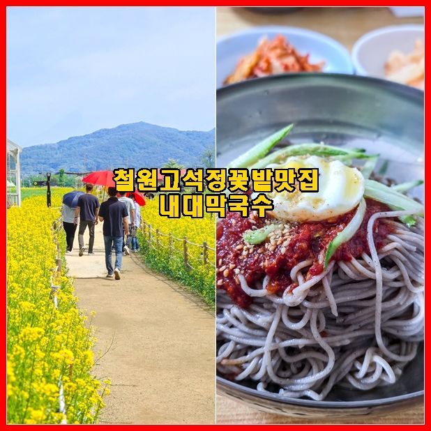 철원막국수맛집 내대막국수, 철원고석정꽃밭 맛집 투어로 완벽했던 하루