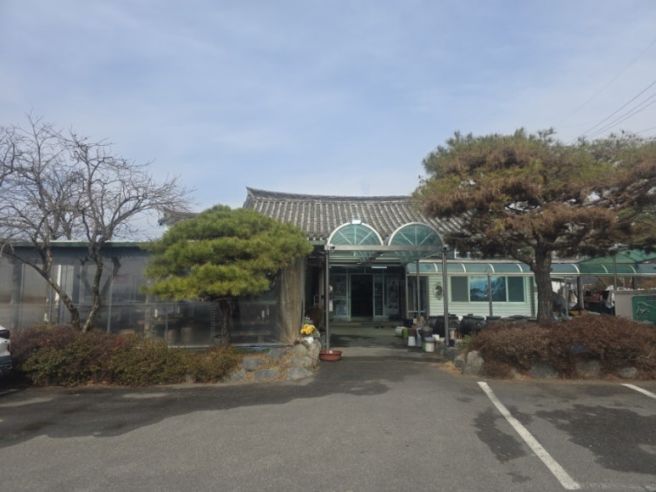 백반기행에 나온 경주남산맛집 '삼릉고향칼국수'