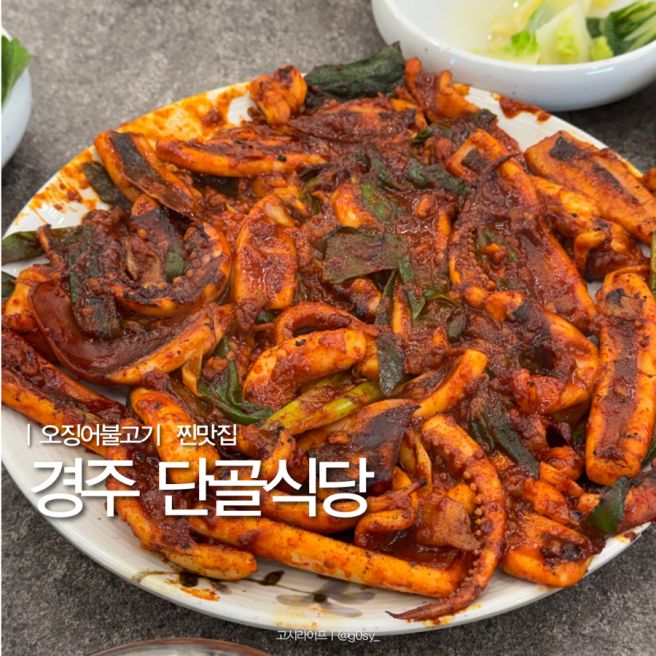 경주맛집 경주단골식당 오징어불고기 내돈내산 후기, 웨이팅 주차 꿀팁