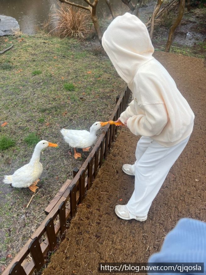 제주 해장국 투어 ④, 역시나 맛있는 함덕골목 본점