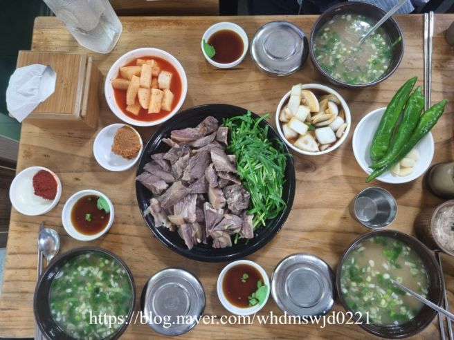 내돈내산 수요미식회 포항 로컬맛집 65년 죽도시장 맛집 장기식당 솔직후기