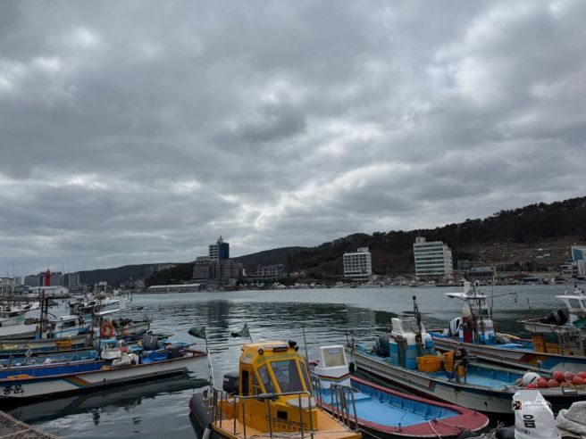 기장 대변항 멸치회구이를 즐기다 용암할매횟집