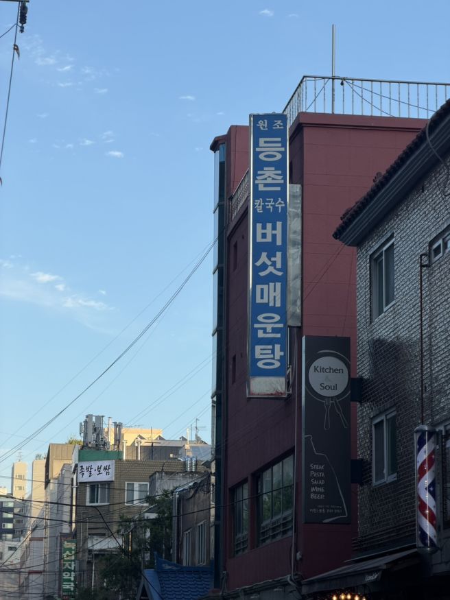 강서구 맛집 원조 등촌 최월선칼국수 버섯매운탕 내돈내산 후기 주차 정보