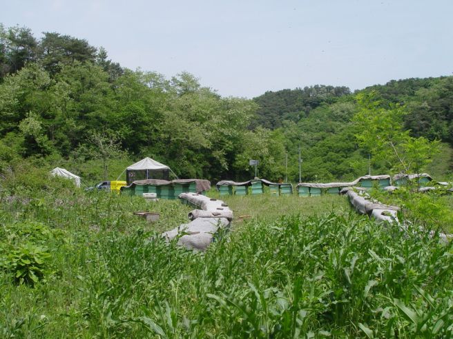 동구밖과수원 이미지
