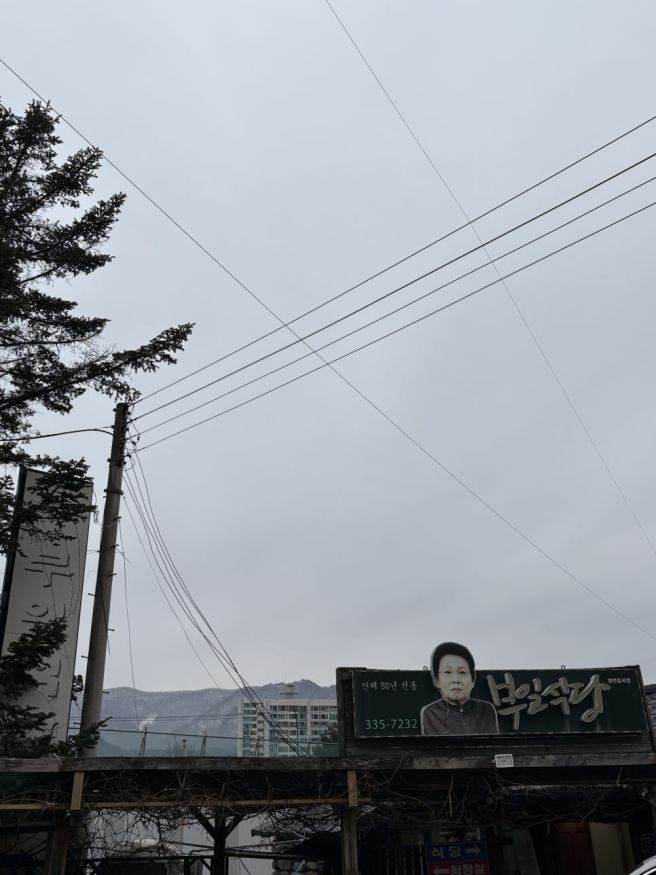 [평창] 부일식당 / 돌멩이 / 메밀나라