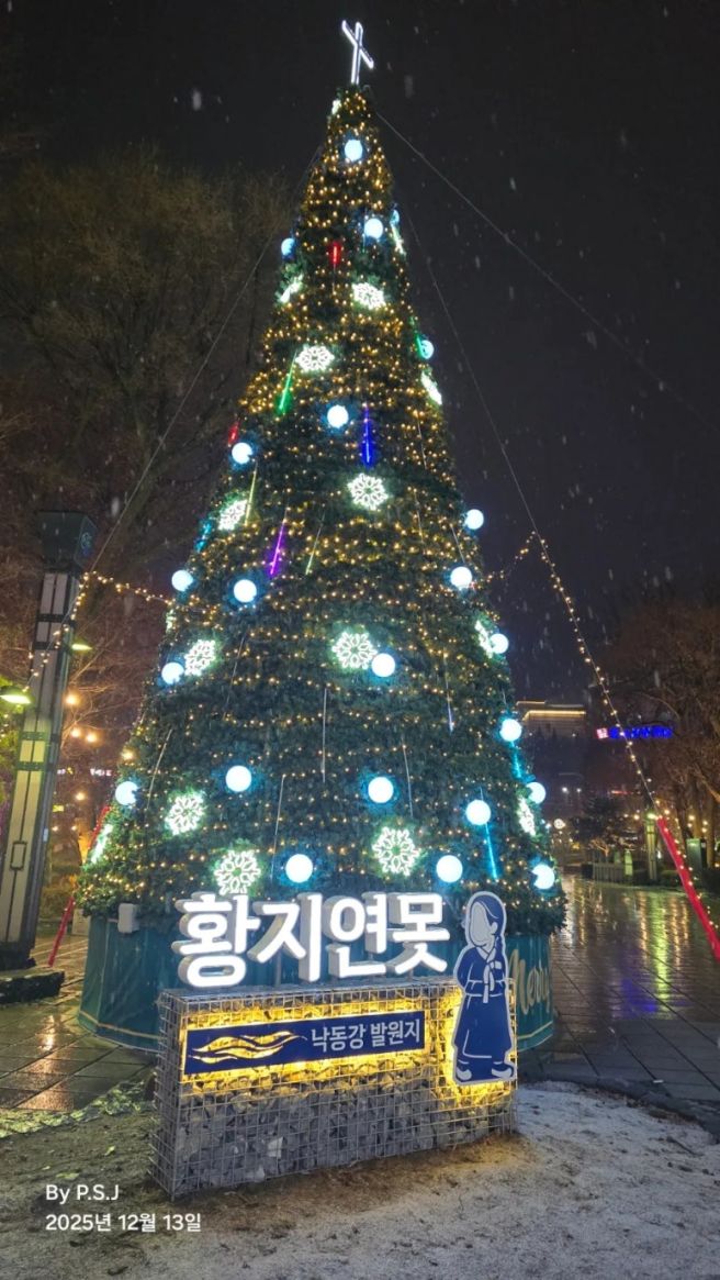 한우연탄구이 최애 맛집(황지식육점 원조 실비식당) / 태백시.