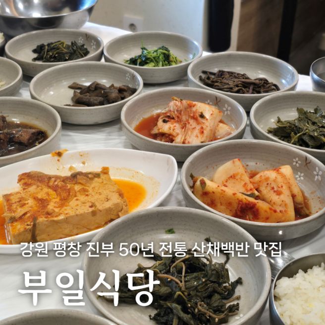 부일식당, 평창 진부 50년 전통 산채백반 맛집 (진부IC 근처)