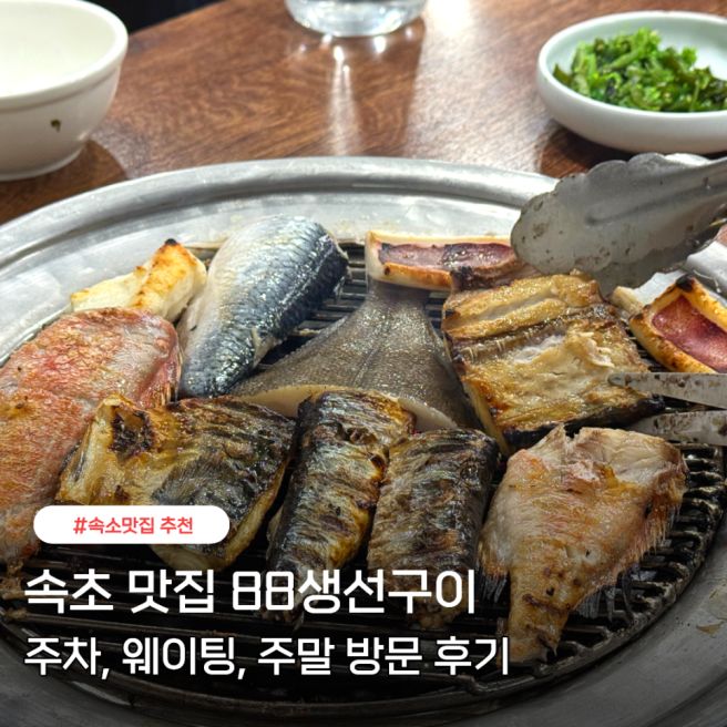 속초 88생선구이 주차 웨이팅 속초 필수 코스 주말 내돈내산 후기