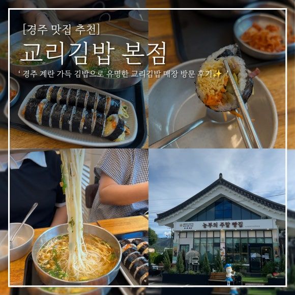 경주 맛집 교리김밥 본점 _ 계란 가득 김밥 국수 웨이팅 매장 내돈내산