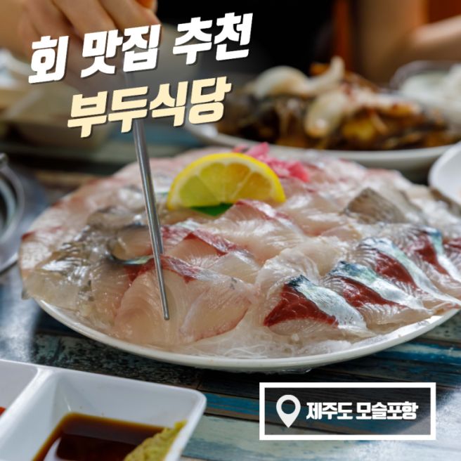 모슬포항맛집 부두식당, 45년 토박이 제주 고등어회 맛집 후기