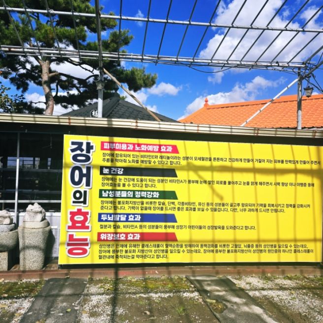 (아산) 인주면 맛집 장어특화거리 옛날돌집민물장어