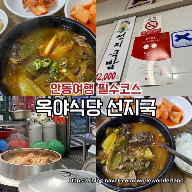 안동 필수코스 옥야식당 오픈런 선지국밥