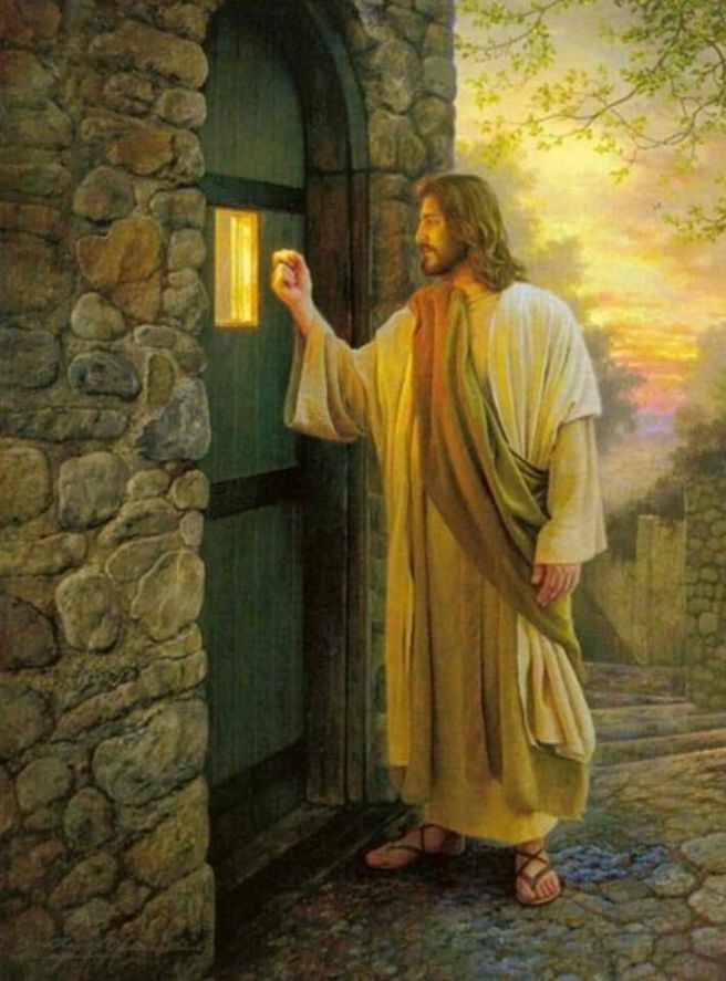 뷰어 이미지