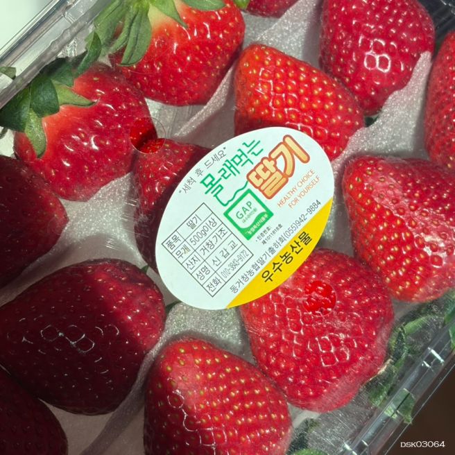 스타벅스 쁘띠팔레트 두쫀쿠 콩비지쿠키 등등 얌얌일기